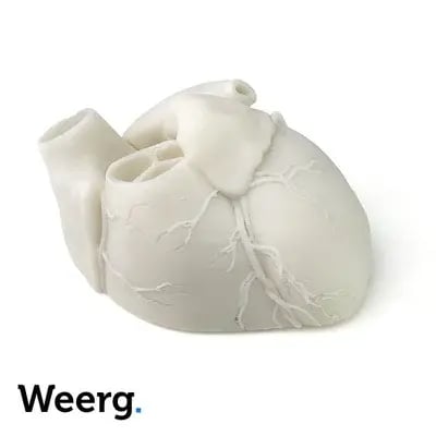 3d-printed heart