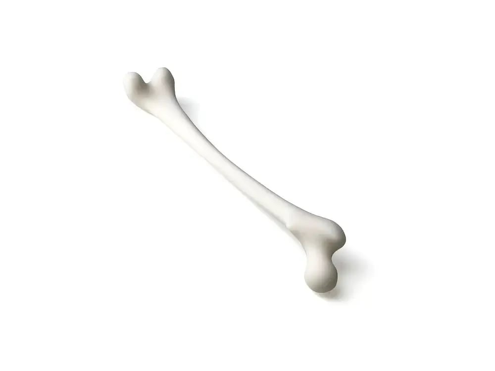 ABS medical bone