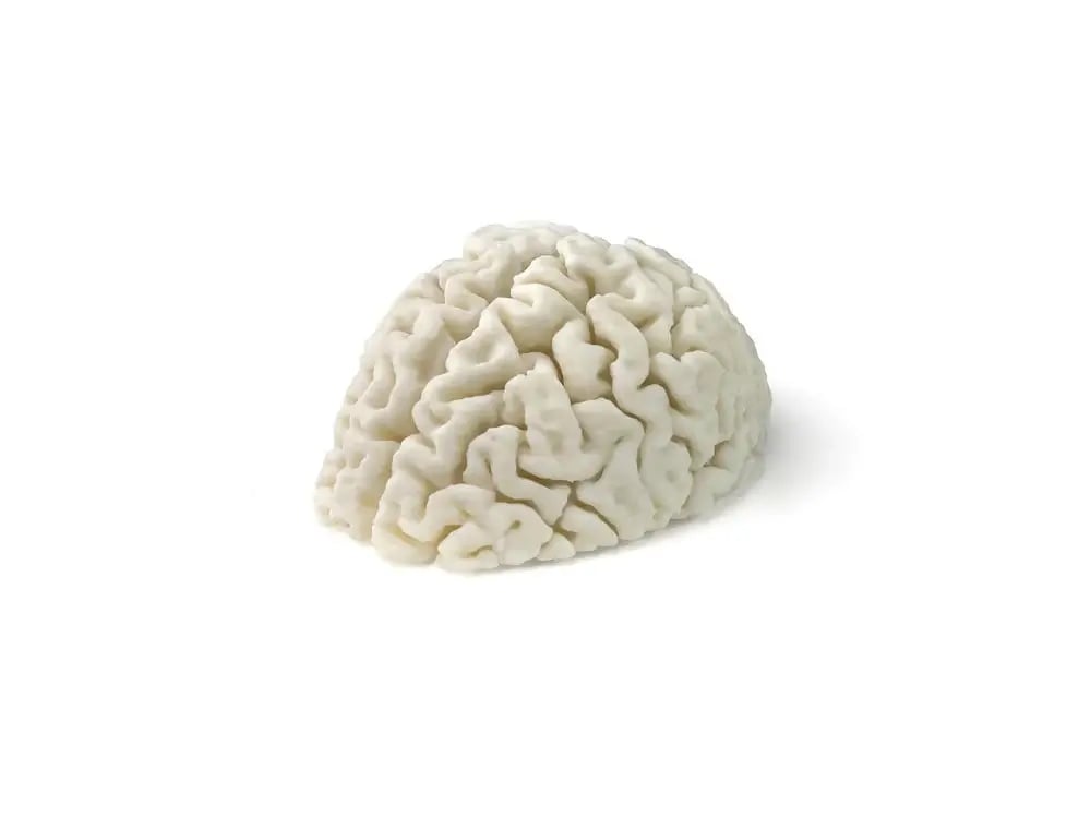 ABS medical brain