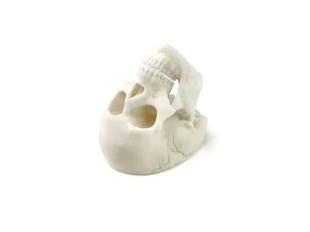 ABS medical skull