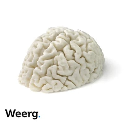 Modelo anatómico del cerebro impreso en 3D