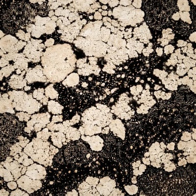 metal observado al microscopio