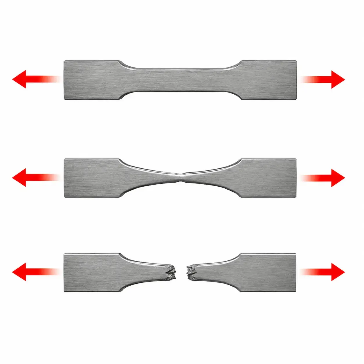 Étapes de la résistance à la traction